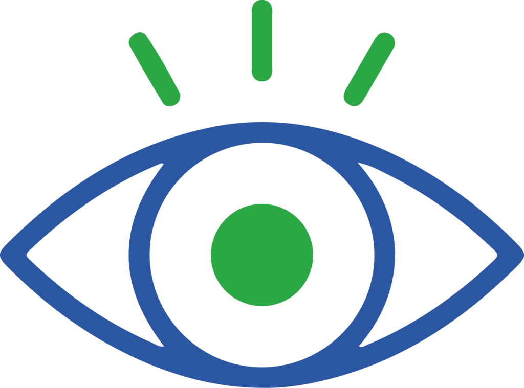 visión