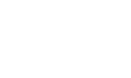 Papa Johns